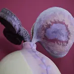 Magnetic Mehoffera 公寓 华沙