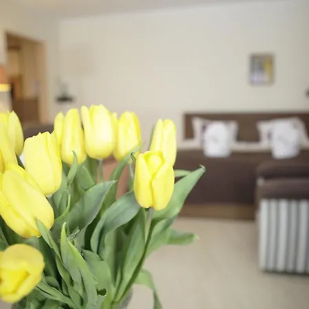 Magnetic Mehoffera 아파트 *