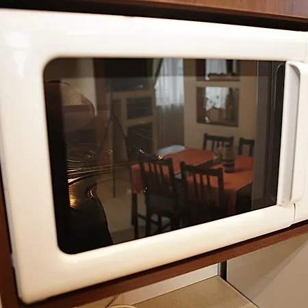 Magnetic Mehoffera Apartment
