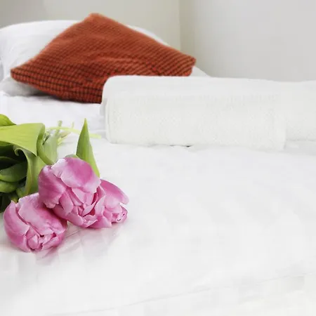 아파트 Magnetic Mehoffera *