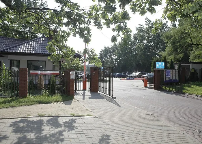 Magnetic Mehoffera *