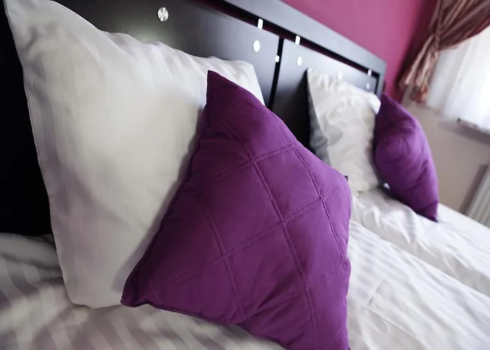 Magnetic Mehoffera *