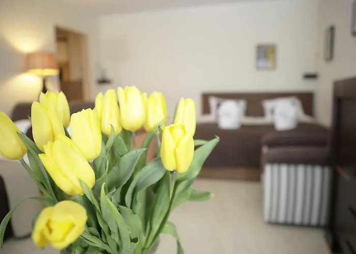 Magnetic Mehoffera Apartment *