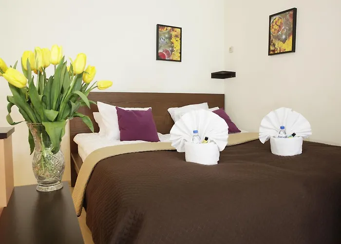 Magnetic Mehoffera Apartment