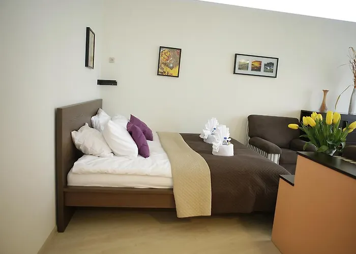 Appartement Magnetic Mehoffera *