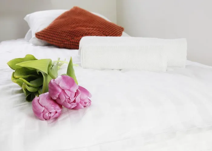 Apartment Magnetic Mehoffera *