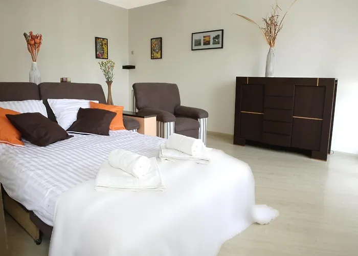 Magnetic Mehoffera Appartement